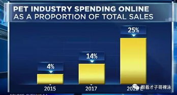 互联网宠物商品销售是下一个火爆点吗