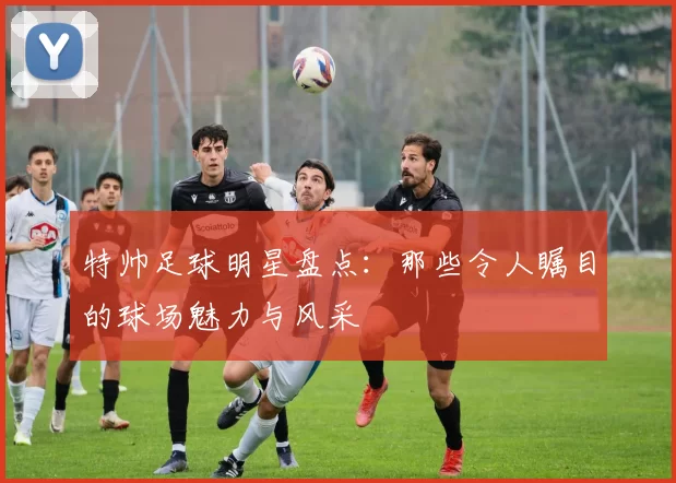 特帅足球明星盘点：那些令人瞩目的球场魅力与风采