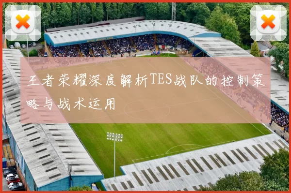 王者荣耀深度解析TES战队的控制策略与战术运用