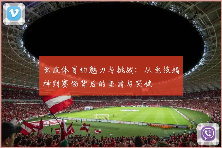 竞技体育的魅力与挑战：从竞技精神到赛场背后的坚持与突破