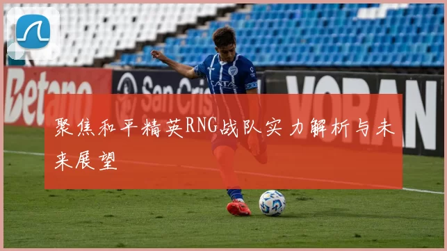 聚焦和平精英RNG战队实力解析与未来展望