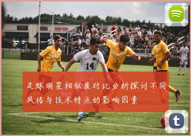足球明星相似度对比分析探讨不同风格与技术特点的影响因素