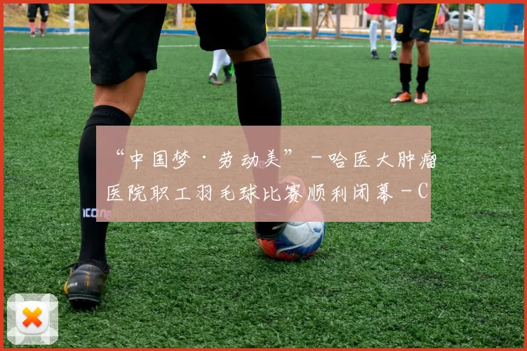 “中国梦·劳动美” - 哈医大肿瘤医院职工羽毛球比赛顺利闭幕 - Copy (2)