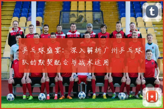 乒乓球盛宴：深入解析广州乒乓球队的默契配合与战术运用