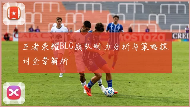 王者荣耀BLG战队耐力分析与策略探讨全景解析