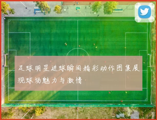 足球明星进球瞬间精彩动作图集展现球场魅力与激情