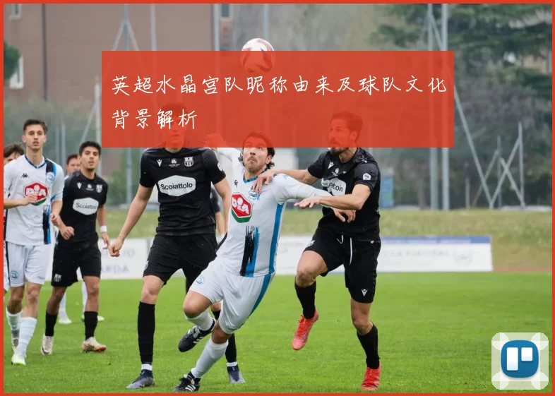 英超水晶宫队昵称由来及球队文化背景解析