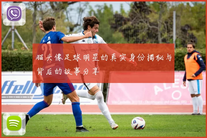 猫头像足球明星的真实身份揭秘与背后的故事分享