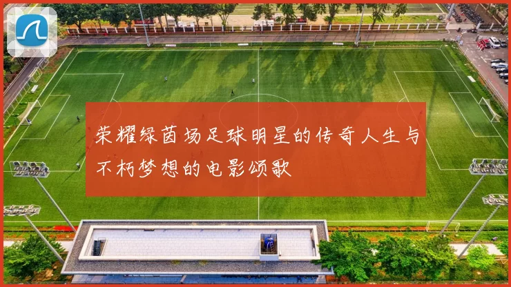 荣耀绿茵场足球明星的传奇人生与不朽梦想的电影颂歌