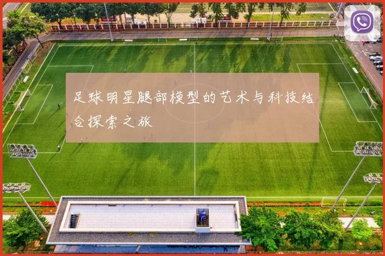 足球明星腿部模型的艺术与科技结合探索之旅