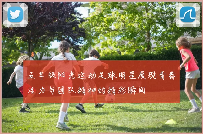 五年级阳光运动足球明星展现青春活力与团队精神的精彩瞬间
