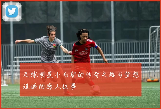 足球明星小毛驴的传奇之路与梦想追逐的感人故事