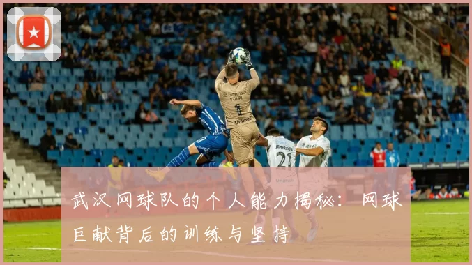 武汉网球队的个人能力揭秘：网球巨献背后的训练与坚持