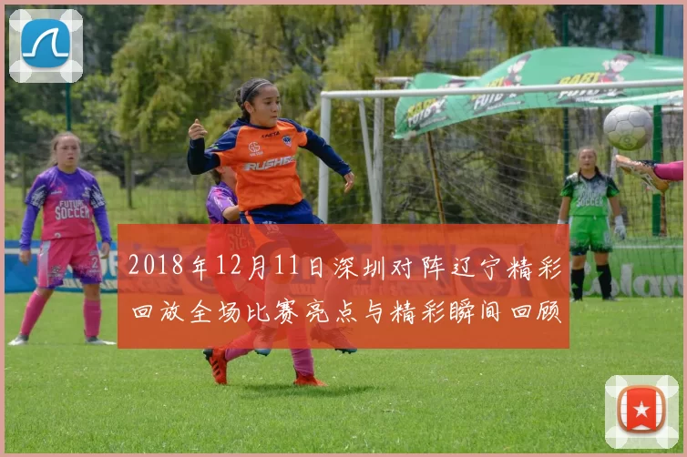 2018年12月11日深圳对阵辽宁精彩回放全场比赛亮点与精彩瞬间回顾