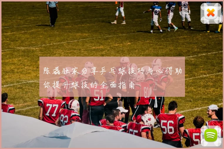 陈磊独家分享乒乓球技巧与心得助你提升球技的全面指南