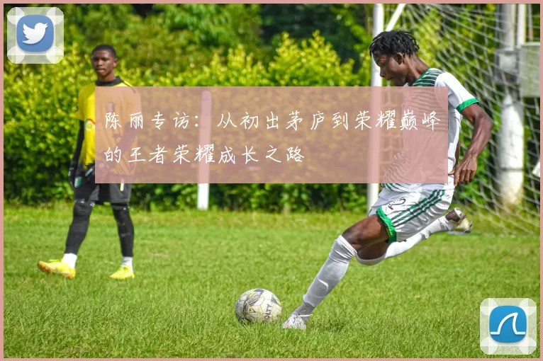 陈丽专访：从初出茅庐到荣耀巅峰的王者荣耀成长之路