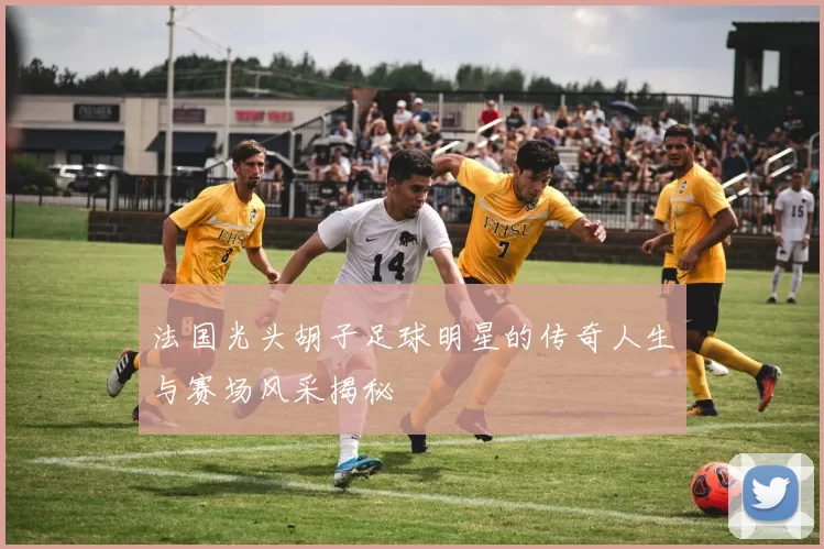 法国光头胡子足球明星的传奇人生与赛场风采揭秘
