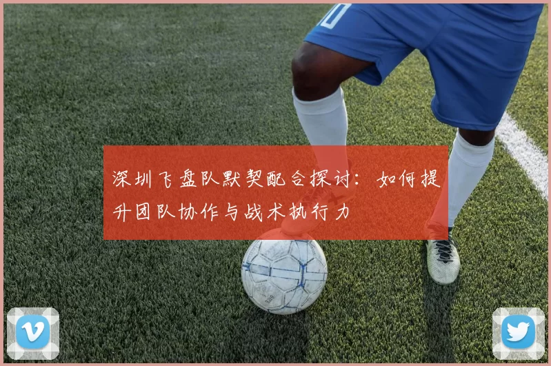 深圳飞盘队默契配合探讨：如何提升团队协作与战术执行力