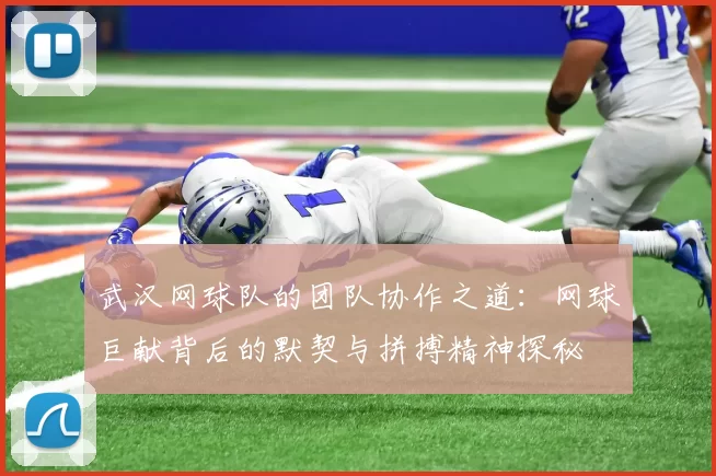 武汉网球队的团队协作之道：网球巨献背后的默契与拼搏精神探秘