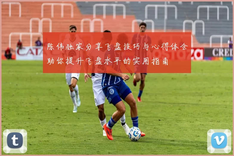 陈伟独家分享飞盘技巧与心得体会助你提升飞盘水平的实用指南