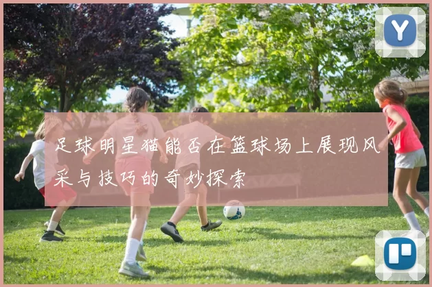 足球明星猫能否在篮球场上展现风采与技巧的奇妙探索