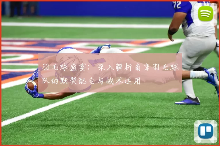 羽毛球盛宴：深入解析南京羽毛球队的默契配合与战术运用