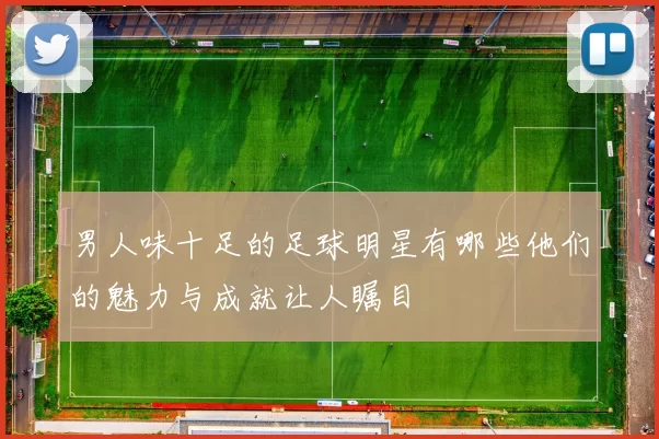 男人味十足的足球明星有哪些他们的魅力与成就让人瞩目