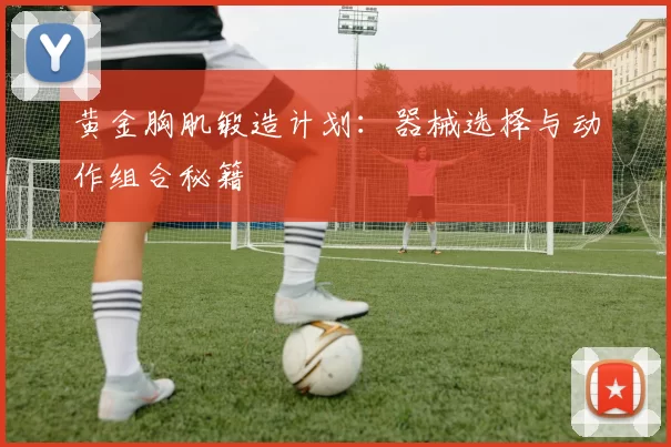 黄金胸肌锻造计划：器械选择与动作组合秘籍