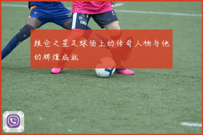 粮仓之星足球场上的传奇人物与他的辉煌成就